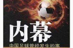 足球盛事谁主沉浮，赛场风云变幻